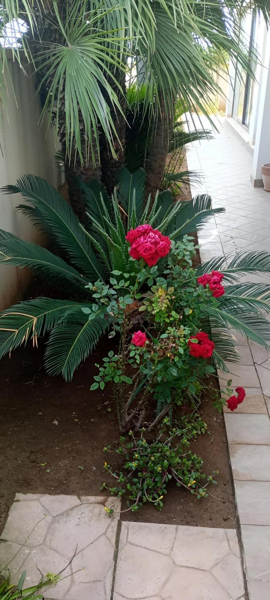 Ferienwohnung Viki House Mazara Mazara del Vallo Exterior foto