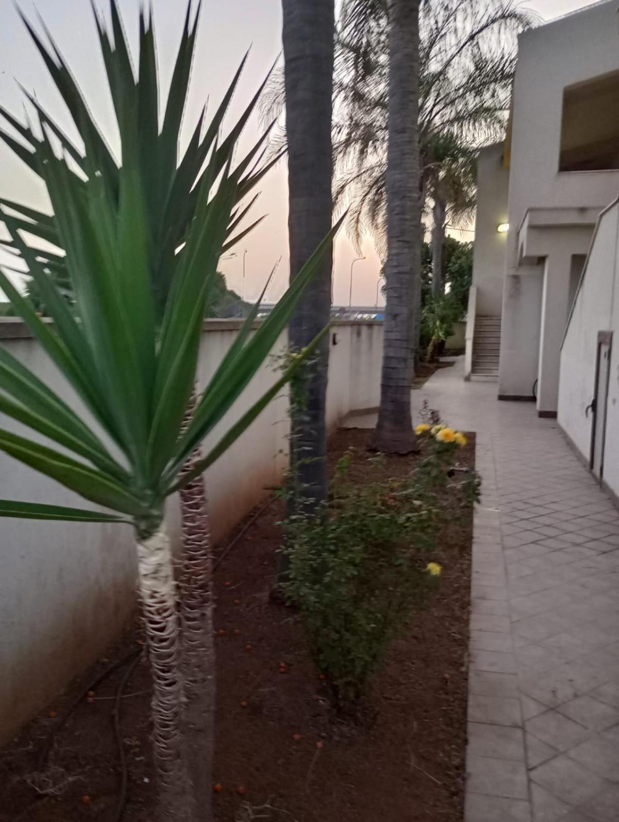 Ferienwohnung Viki House Mazara Mazara del Vallo Exterior foto